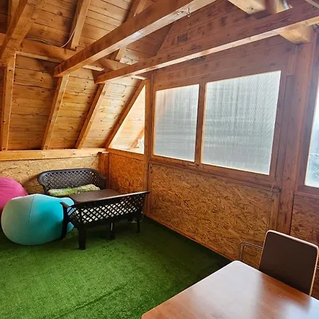 Vikendica Gojkovic Holiday home