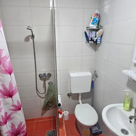 Vikendica Gojkovic Holiday home *