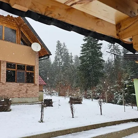Vikendica Gojkovic Holiday home *